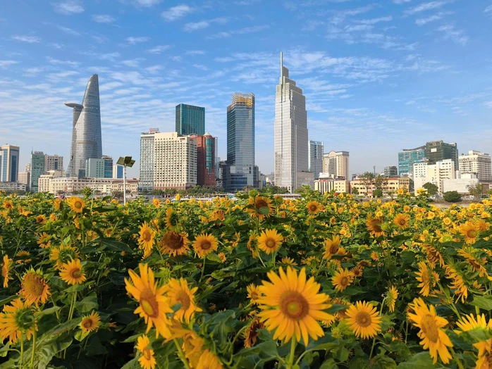 TP HCM hiện đại, vươn mình