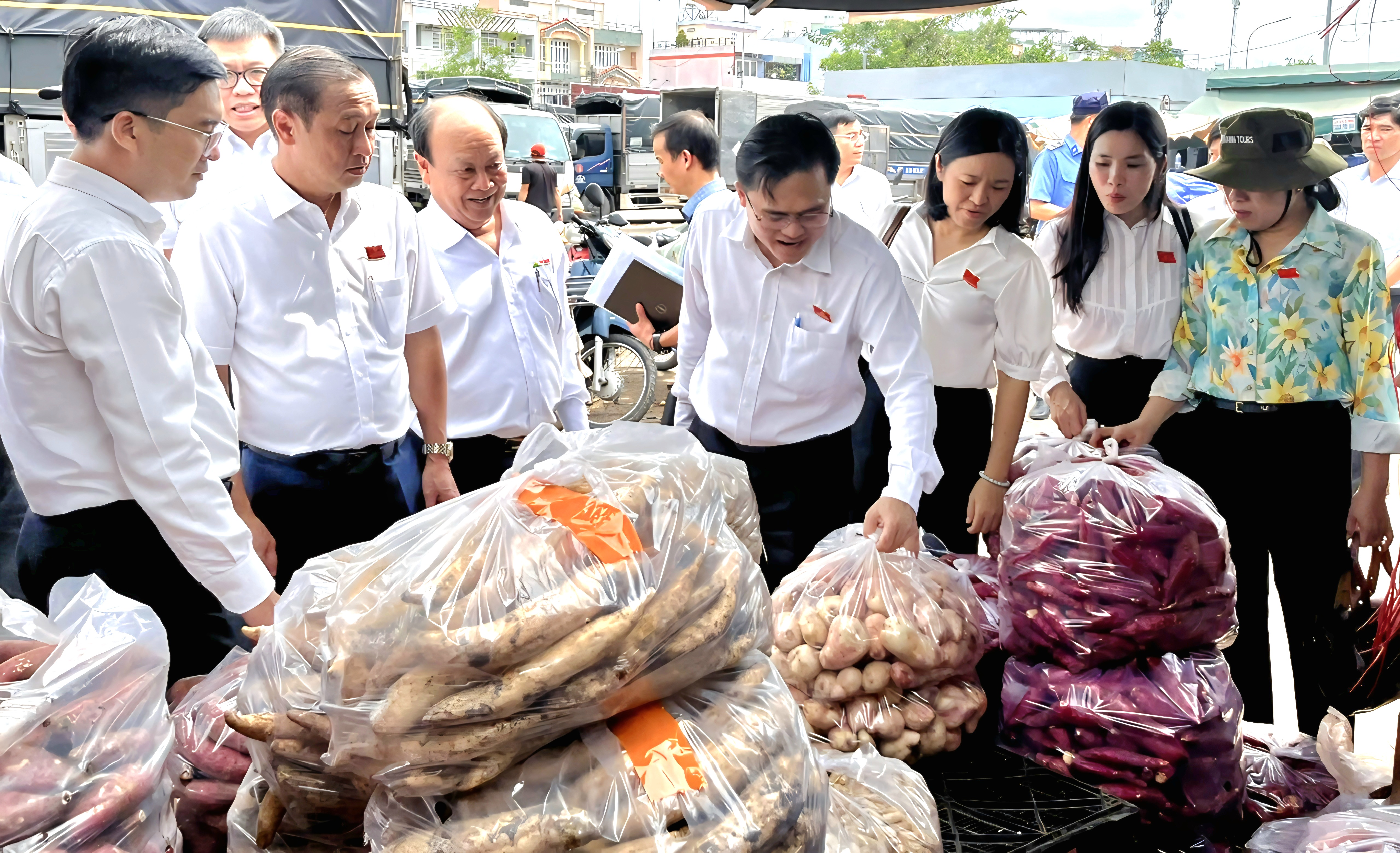 THƯỜNG TRỰC HĐND THÀNH PHỐ HỒ CHÍ MINH GIÁM SÁT CÔNG TÁC QUẢN LÝ AN TOÀN THỰC PHẨM TẠI CHỢ ĐẦU MỐI HÓC MÔN