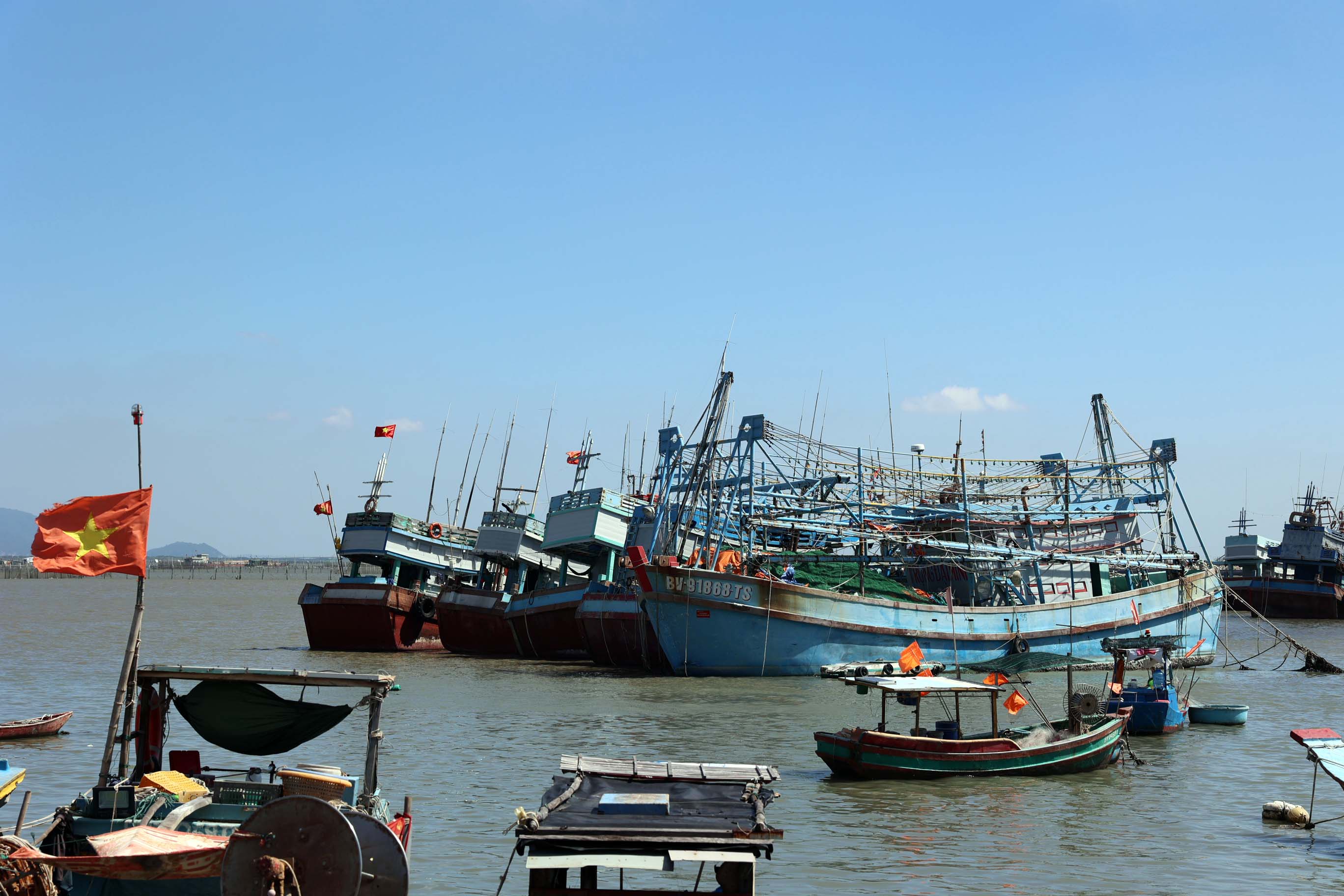 Thành phố Hồ Chí Minh: Xây dựng, phát triển nghề cá hài hòa, bền vững