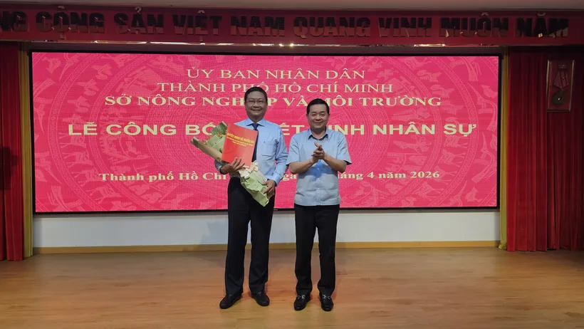 TPHCM kiện toàn nhân sự hệ thống văn phòng đăng ký đất đai TP