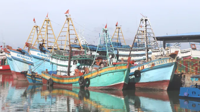 TPHCM yêu cầu hoàn thành triển khai hệ thống eCDT cho tàu cá trước ngày 30-10